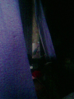 Photo0006