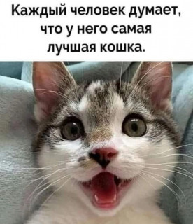 NlSEQd6iQsw