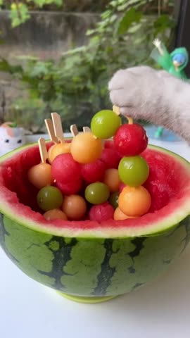 miyavlikedicikler-___CasR7trgZr-___-