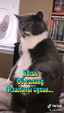 d78c1aa2aa5c7a11e63ae739f0cb1390