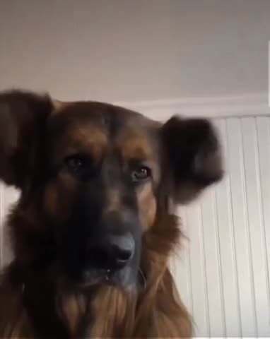 01c311ecf91e444f26848a7e875803e9