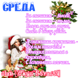 среда