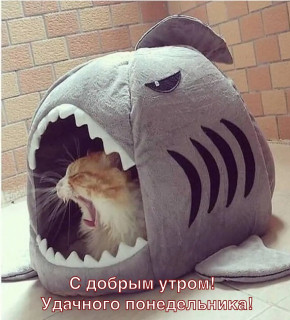 fyiPs6BIH6A