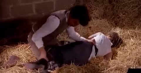 секссекссекс