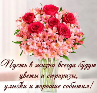 _ZRcNphDhwE