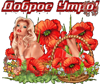 Доброе утро 03