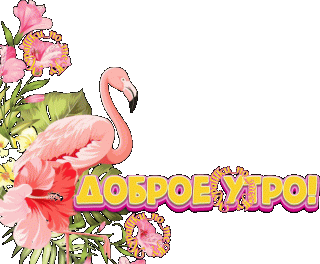 Доброе утро 04