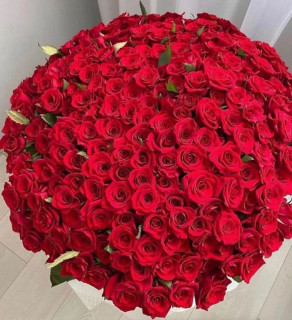 leylaaslanoglu-___CbIhdGhNxyv___-