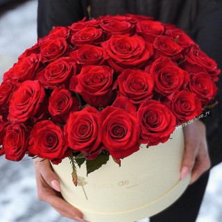 leylaaslanoglu-___CbNJrbitbwC___-
