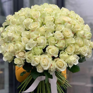 leylaaslanoglu-___CbNg4dZNVbb___-