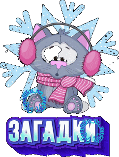 Загадки