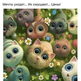 zhenskij_boom-___CbP9slTl9QP___-