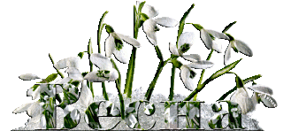 Весна 04