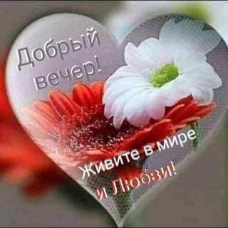 IMG-352df46162f4d9b49de29a2d7af6991e-V