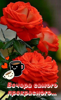 IMG-1430d2ec2e1c8b47f4a636c8d5274adb-V