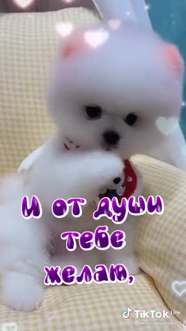 9c08a420b0dbce7c29dcdcc6973898eb