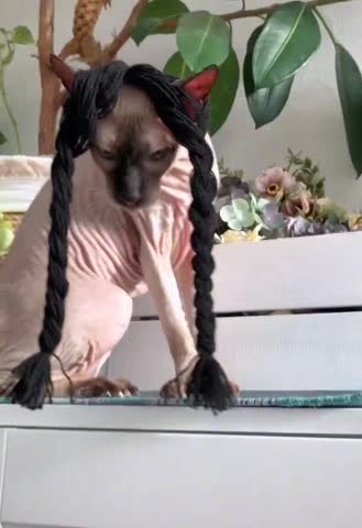 Ну ничОVideo_d94e5ww