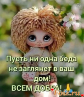 Foiz__Foiz__3546002_295x460