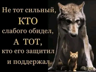 FB_IMG_16484760441631829