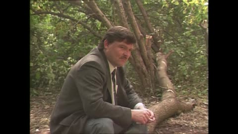 Mihail_Kg_-_Vsjo_sbudetsja-im