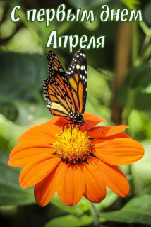 IMG-8c3ae3edb3a82084b8978a950f5f4c8c-V