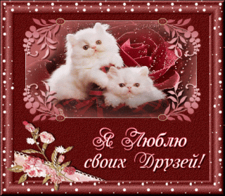 3383fe17028e7b32a89142e0fdb03311