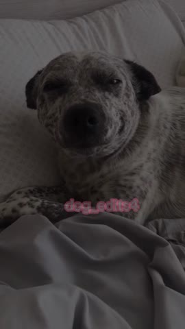 tiktok_1649271076063