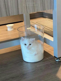 OJ8r3zCCBFE