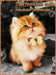 IMG_20220407_172615_233