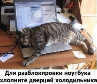 _bhjLig4QaE