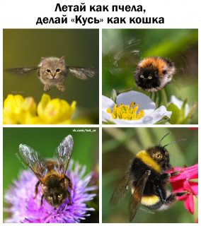 j48brcIkSNk