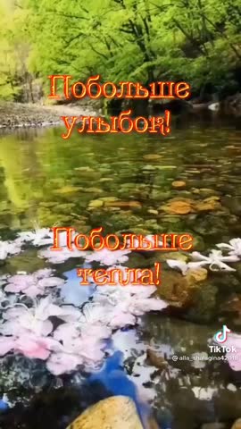 video-fef45570b4d18bcfdf7965003787e92e-V