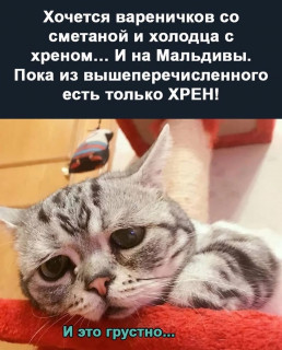 vse_muzhiki_boom-___CcNVUkjoIK0___-
