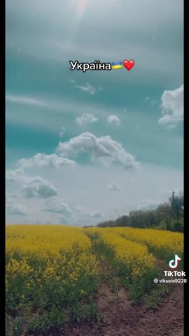 83e98d5fb39c710cdc2a67f564a2f7b7