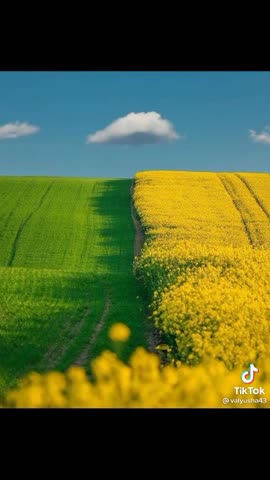 30d903c08c8135d0b9e8479749c8f62e