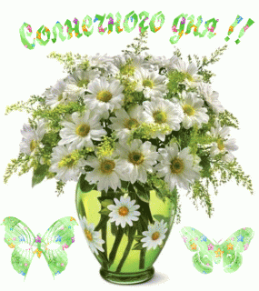 1523513445_822-gifka-solnechnogo-dnya