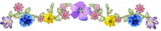 66