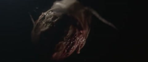 ODDKO_-_Disobey_Official_Music_Video-_im