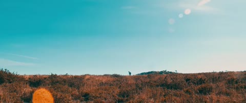 Thy_Catafalque_-_Piros-s?rga_official_video_2021GoGetVideo_