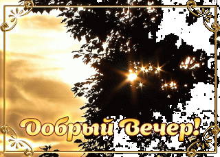 GIF-55fd8b94e419c272926d5a46a91815cd