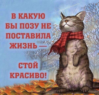 Uh19KR5yYec