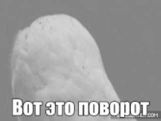 Вот это поворот