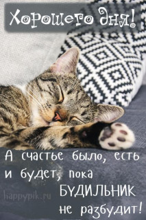 IMG-0065ee960853726fae919c9c7b2e6d30