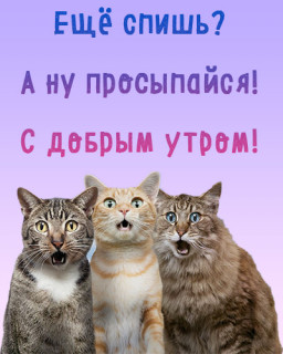 IMG-81b8e3dcd500131c276e7e905a0e0ba6