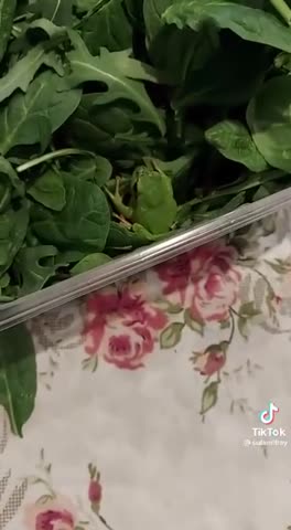 привет_из_Турции