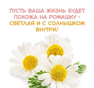 Ромашка