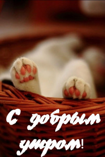 С_добрым_утром