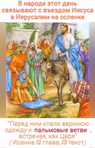 video-41be375d9cc4ed891d5b70b5d2f68389-V