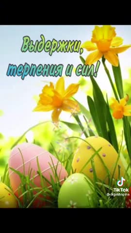 bd57f526fa4f5107fd99b753e76c46d5_mp4
