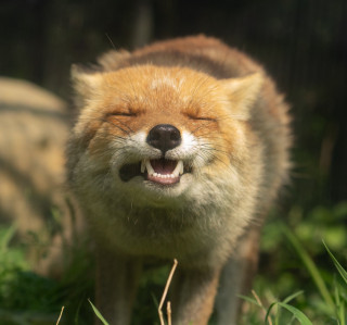 WtyXWuAluqA8xJ1noYQFtGvKSP8AN0jxQ-B18kpWofaCVr2QeZPpI8LYoASPE2fA0d_y2wt0QsAvFpHeVhykGeZw